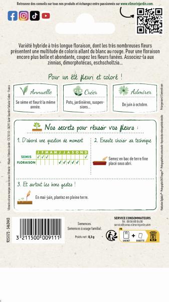 Fleurs - Géranium Cricket Varié - MEDIA_PACKAGING_VERSO